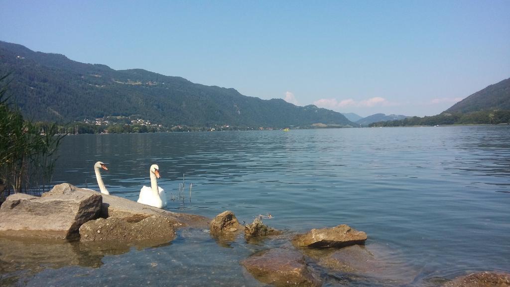 Haus Am Wald Apartman Steindorf am Ossiacher See Kültér fotó